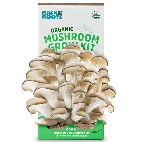 Back to the Roots Organic Mushroom Growing Kit. DIY Indoor Organic Oyster Mushroom Farm. Grow Edible Mushrooms at Home for Gourmet Cooking. Perfect Cooking Gift