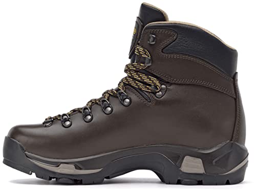 Asolo Men's TPS 520 GV EVO Long Distance, Backpacking, Trekking, Technical Terrian Hiking Boots (Chestnut, 9)