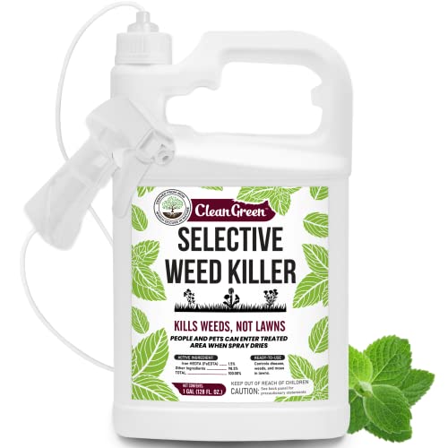 Mighty Mint Clean Green Selective Weed Killer for Lawns - Kills Weeds, Not Grass - 1 Gallon