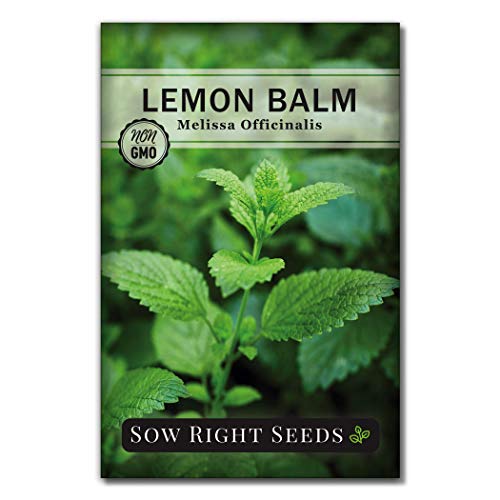 Sow Right Seeds - Lemon Balm Seeds for Planting - Non-GMO Heirloom Packet with Instructions - Easy to Grow Herb Garden - Aromatic Herb and Great for Herbal Teas - Perennial Mint Relative (1)