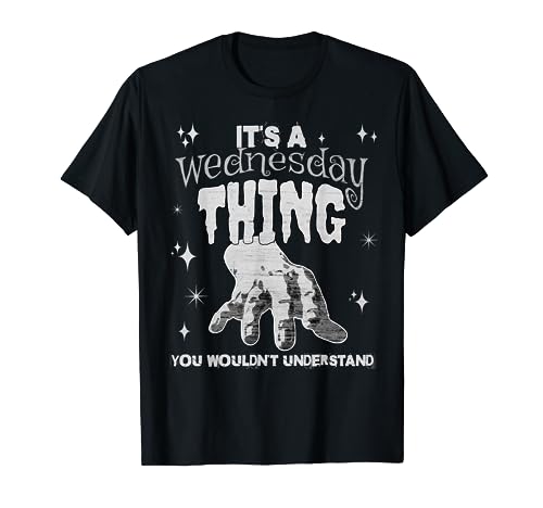 You Wouldn't Understand This Thing On A Gloomy Wednesday T-Shirt