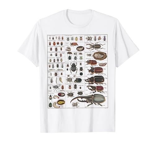 Insects Collection Species Bugs vintage Chart Entomology T-Shirt