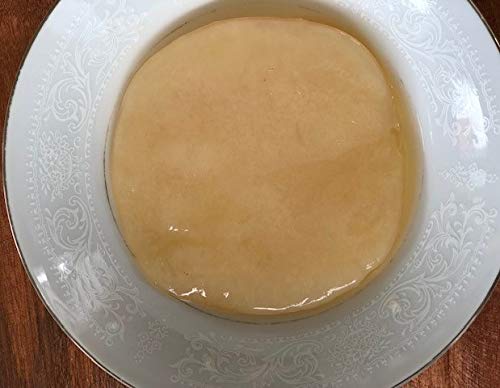 IBIV Kombucha Scoby Live Strong Starter Tea Culture for Healthy Raw Premium Fermented Tea (Over 1/4 Cup Starter Tea Makes 1/4 Gallon)