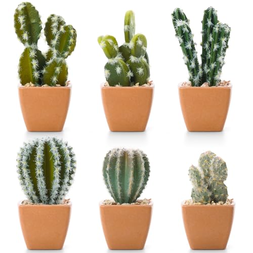 T4U Assorted Artificial Succulent Potted Plants Decorative Plastic Faux Cactus with Pots, Pack of 6