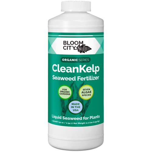 Organic Liquid Seaweed and Kelp Fertilizer Supplement by Bloom City, Quart (32 oz) Concentrated Makes 180 Gallons