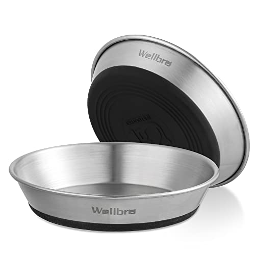 Wellbro Cat Bowls, 2 Pcs Stainless Steel Cat Bowls for Food and Water, Whisker Fatigue Shallow Non-Slip Cat Dishes Plates for Small Dog Puppies Cats