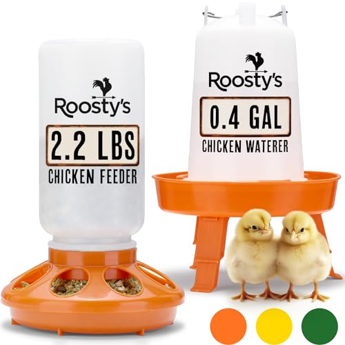 Roosty's Chick Feeder and Waterer Kit - 1L Chick Feeder and 1.5L Chick Waterer | Chicken Feeder and Hanging Chicken Waterer | Duck Feeder, Quail Feeder, Chicken Starter Kit | Baby Chicken Supplies