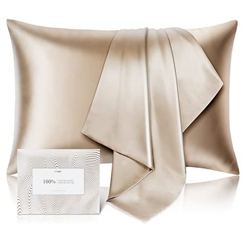 100% Pure Mulberry Silk Pillowcase for Hair and Skin - Allergen Resistant Dual Sides,600 Thread Count Silk Bed Pillow Cases with Hidden Zipper,1pc,Standard Size,Taupe
