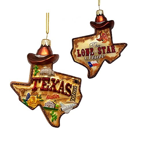 Kurt S. Adler 4.875-Inch Glass Texas Ornament, Multi,Christmas