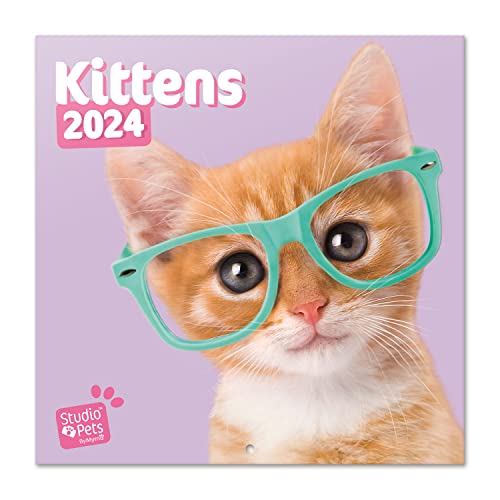 Official Studio Pets Cats Wall Calendar 2024 12' x 12' FSC Plastic Free - Starts Week On Sunday | 12 Month Planner | Square Wall Calendar 2024 | Family Planner Calendar 2024 | Kitten Calendar 2024