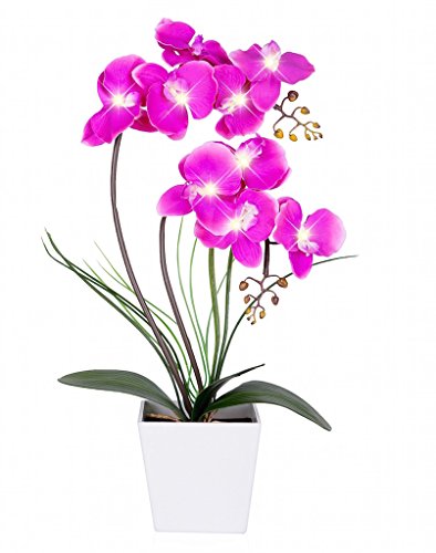 HOMESEASONS Orchid Lamp-LED Lighted Orchid Arrangements,Pre Lit Artificial Orchid,Light Up Flower Lights, Faux Orchid Phalaenopsis Arrangement (Purple)