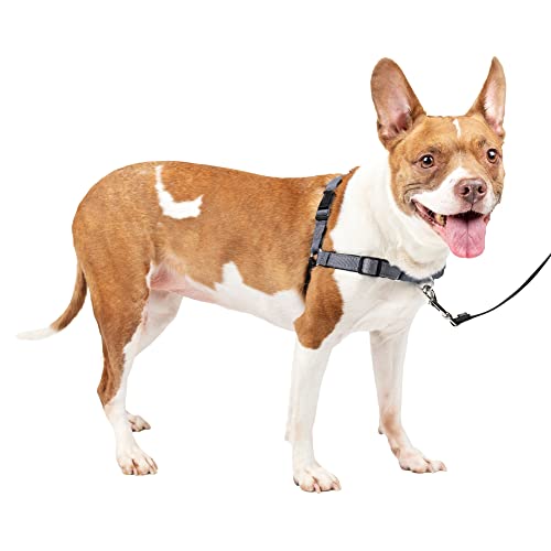 PetSafe Deluxe Easy Walk Dog Harness, No Pull Harness, Stop Pulling, Great For Walking and Training, Comfortable Padding, For Medium Dogs- Steel/Black, Medium