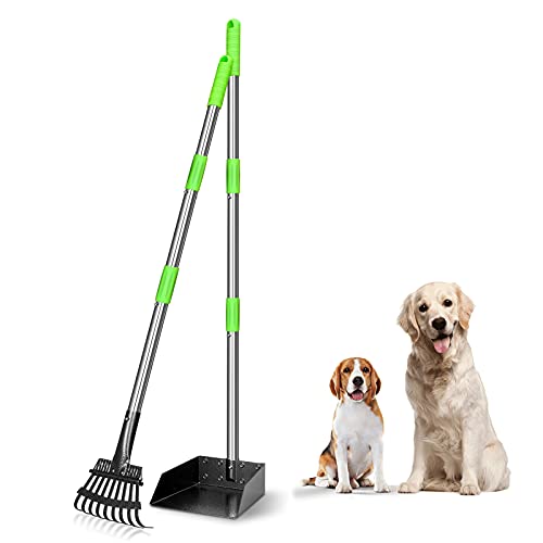 TOOGE Pooper Scooper, Dog Pooper Scooper Long Handle Stainless Metal Tray and Rake for Large Medium Small Dogs Heavy Duty (Green) (A-Standard)