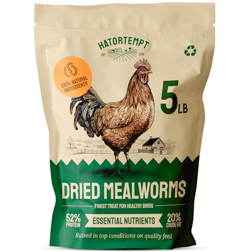 Hatortempt Dried Mealworms 5 lbs – Premium Organic Non-GMO Dried Mealworms for Chickens – High Protein Chicken Feed Meal Worms for Wild Birds & Chicken Treats for Laying Hens