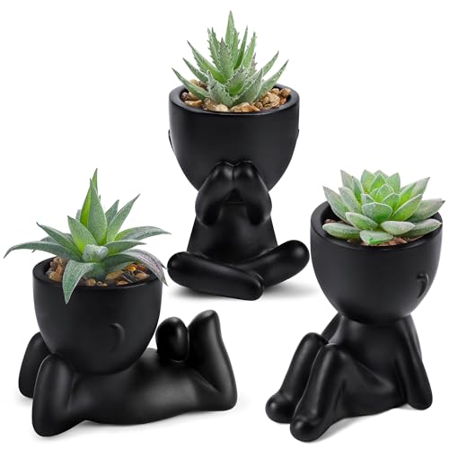 Der Rose 3pcs Fake Succulents Plants Artificial for Black Bathroom Bedroom Home Room Decor Aesthetic Indoor