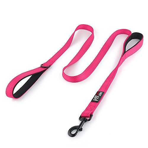 Pioneer Petcore Dog Leash 6ft long,Traffic Padded Two Handle,Heavy Duty,Reflective Double Handles Lead for Control Safety Training,Leashes for Large Dogs or Medium Dogs,Dual Handles Leads(Pink)