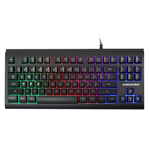Lumsburry Rainbow LED Backlit 87 Keys Gaming Keyboard, Compact Keyboard with 12 Multimedia Shortcut Keys USB Wired Keyboard for PC Gamers Office