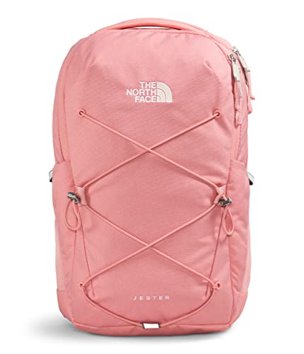 THE NORTH FACE Women's Every Day Jester Laptop Backpack, Shady Rose Dark Heather/Gardenia White, One Size