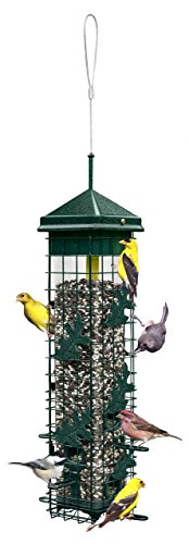 Squirrel Solution200 Squirrel-proof Bird Feeder w/6 Feeding Ports, 3.4-pound Seed Capacity, Free Seed Funnel