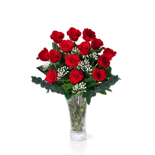 Red Roses Fresh Flowers Delivery by - 1 Dozen Roses for Delivery Farmhouse Flowers for Delivery - Fresh Cut Long Stem Roses Bouquet of Flowers Birthday Gifts for Women -Aquarossa Farms