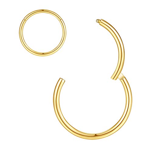 16g Nose Ring Gold Hoop Earrings Nose Hoops 16 Gauge Lip Rings Septum Jewelry Seamless Septum Clicker 8mm Septum Ring Cartilage Earring Helix Earring Rook Earrings Nose Rings Surgical Steel