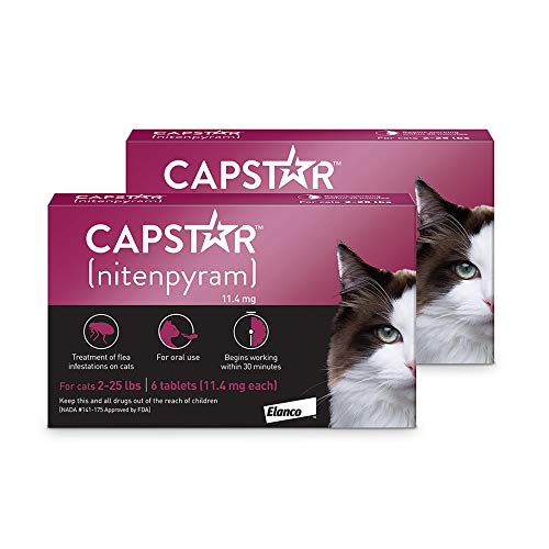 List of Top 10 Best flea tablets for cats in Detail