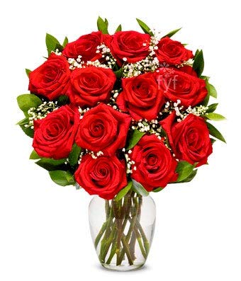 Flowers - One Dozen Premium Long Stemmed Red Roses (Free Vase Included)