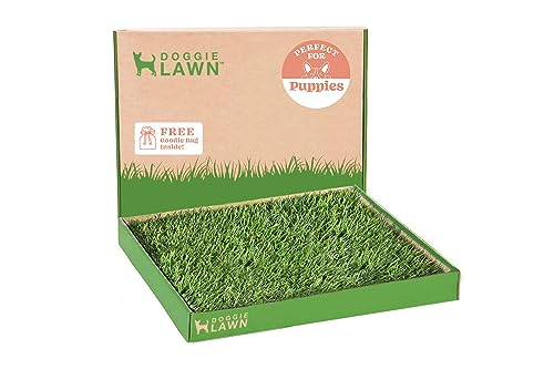 DoggieLawn Real Grass Puppy Pee Pads - Indoor Litter Box for Puppies- No-Mess, Easy Potty Training for Young Pets - Disposable Bathroom with Living Grass (24x16)