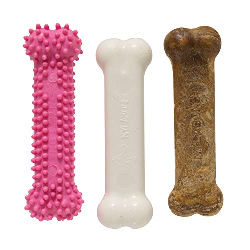 Nylabone Puppy Triple Pack - Pink Puppy Teething Toy, Nylon Dog Toy, & Chew Treat Variety Pack - Puppy Supplies - Chicken and Bacon Flavors, Small/Regular (3 Count)