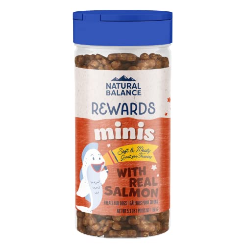 Natural Balance Limited Ingredient Mini-Rewards Salmon Grain-Free Dog Training Treats for Dogs | 5.3-oz. Canister, Brown