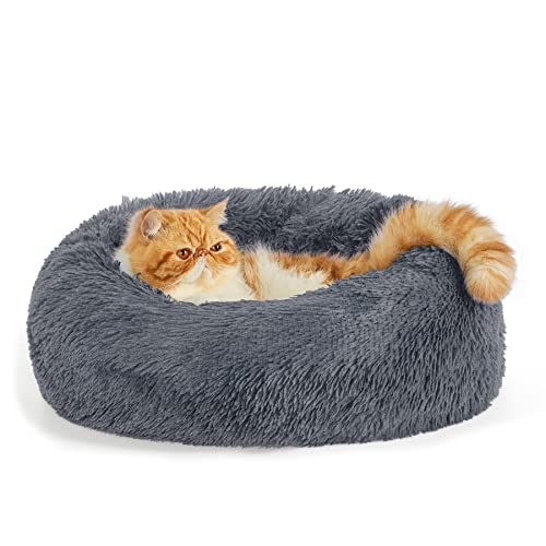 Bedsure Calming Cat Beds for Indoor Cats - Small Cat Bed Washable 20 inches, Anti-Slip Round Fluffy Plush Faux Fur Pet Bed, Fits up to 15 lbs Pets, Dark Grey