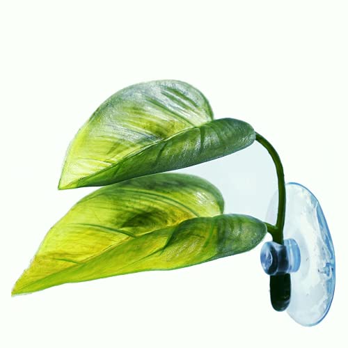 Betta Fish Leaf Pad Simulating The Natural Habitat for Betta Spawning Grounds Breeding Resting Bed Plastic Suction Cup (1 Pcs)