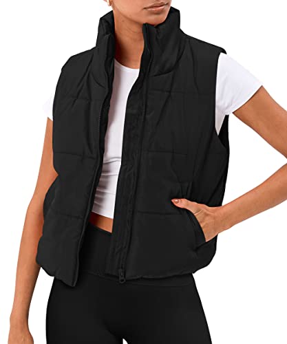 AUTOMET Preppy Winter Clothes Fall Outfits Puffer Vest Women Sleeveless Cropped Outerwear Warm Jackets Stand-up Collar Down Hoodies with Pockets