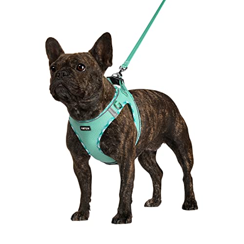 AMTOR Small Dog Harness with Leash Set, No Escape Easy Walk Puppy Harnesses for Training Walking, Step-in Reflective Soft Dogs Vest for XS S Medium Extra-Small Large Sized Dog(Green,S)