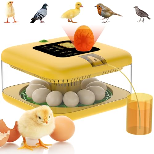 Incubators for Hatching Eggs, Incubators for Hatching Chicks,Duck and Quail with Humidity &Temperature Control&360° View&Automatic Egg Turner &Display Hatch Day &Egg Incubator (Fahrenheit ℉)