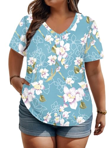 Women's Plus Size Tops Casual T Shirts Basic V Neck Tee Tops 22W 04D