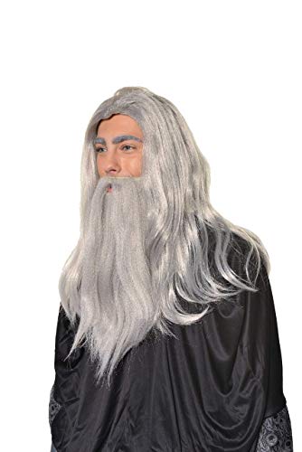 Halloween Cosplay Wizard, Sorcerer, Warlock Wig & Beard Set H0554 Grey One size