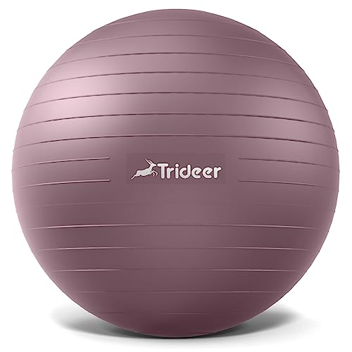 Trideer Yoga Ball - Exercise Ball for Workout pilates Stability - Anti-Burst and Slip Resistant for physical therapy, Birthing, Stretching & Core Workout, Office Ball Chair, Flexible Seating, Home Gym