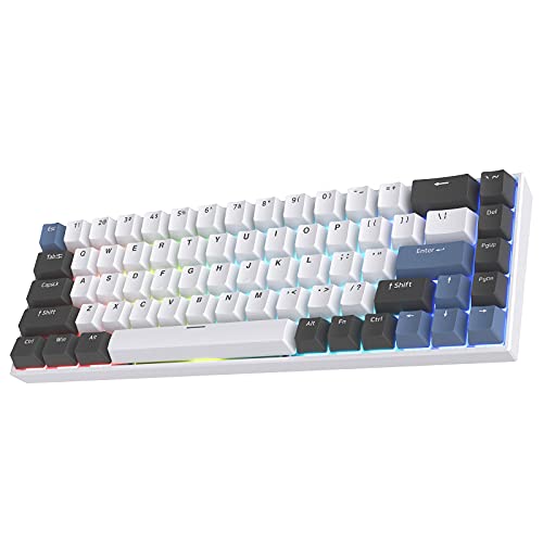 FL ESPORTS F12 65% Three-Mode Wireless Mechanical Keyboard, 68 Keys RGB BT 5.0/2.4Ghz Gaming Keyboard, Smooth Quiet Kailh Box Red Switch, PBT Keycaps, Durable Battery, Tranquility Blue