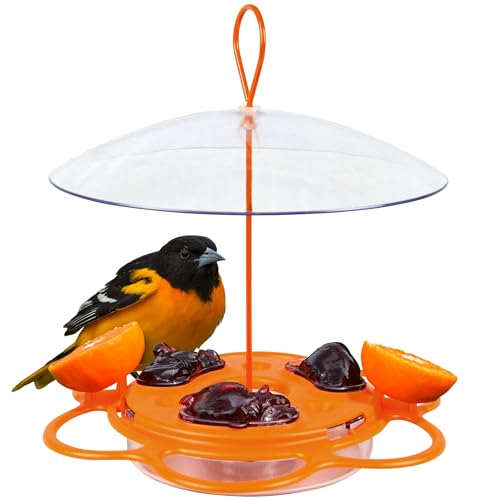 Nature's Way OFP1 All-in-One Oriole Buffet Bird Feeder, Orange