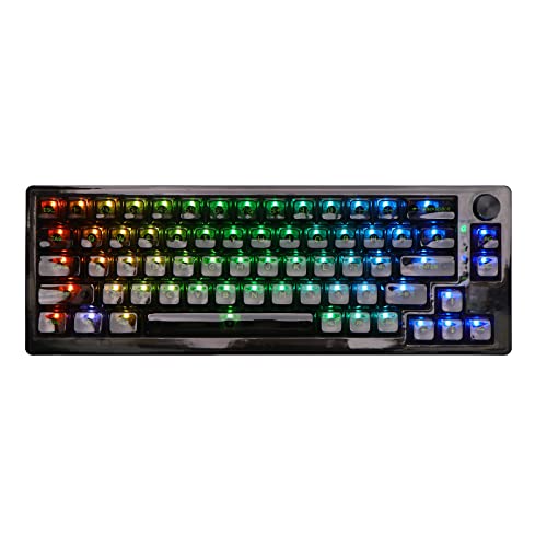 MechLands MC66 65% Hot Swap Programmable RGB 2.4Ghz/ Bluetooth/USB-C Wireless Gaming Keyboard with Double Sound Absorbing Silicone Pad, 4000mAh Battery for Win/MAC/iOS(Black, Kailh Jellyfish Switch)