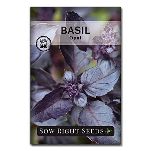 Sow Right Seeds - Opal Basil Seeds for Planting - Non-GMO Heirloom Packet with Instructions to Plant Indoors or Outdoor - Great for Hydroponics or Growing a Kitchen Herb Garden - Purple Leaves (1)