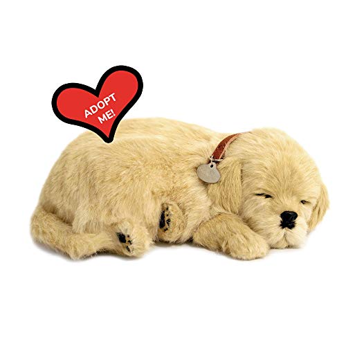Perfect Petzzz - Original Petzzz Golden Retriever, Realistic, Lifelike Stuffed Interactive Pet Toy, Companion Pet with 100% Handcrafted Synthetic Fur