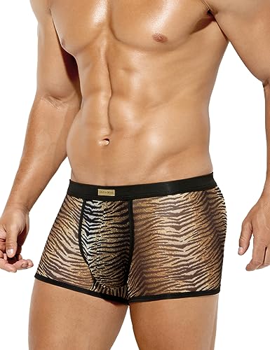 Arjen Kroos Men's Sexy Mesh Trunks Underwear Soft Breathable Boxer Briefs,GREY TIGER-AK3028,Medium