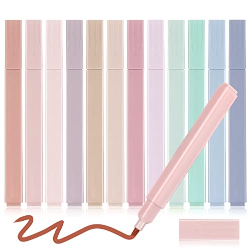 12 Pieces Aesthetic Bible Highlighters and Pens No Bleed with Chisel Tip Pastel Markers Multicolor Kawaii Stationary for Office School Supplies (Cute Style)
