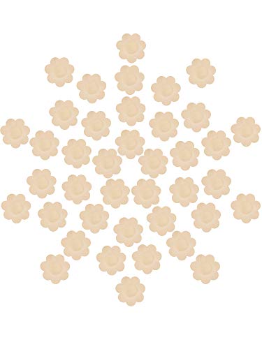 SATINIOR 50 Pairs Nipple Covers Nipple Pasties Nipple Petals for Women Disposable Satin Pasties Self-Adhesive Petals Pad Pasties (Beige)