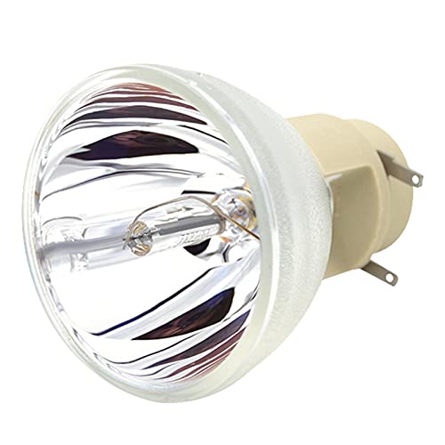 Lyzeous Compatible W1070 W1070+ W1080 W1080ST HT1085ST HT1075 W1300 Projector Lamp Bulb 240/0.8 E20.9N for