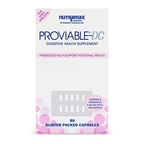 Proviable Digestive Health Supplement Multi-Strain Probiotics and Prebiotics for Cats and Dogs - with 7 Strains of Bacteria, 80 Capsules
