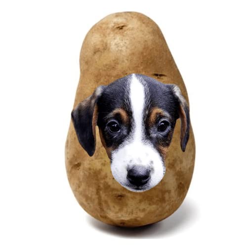 Potato Pup - Send a Message on a Real Potato! Gift a Potato to Your Puppy. As seen on Shark Tank!