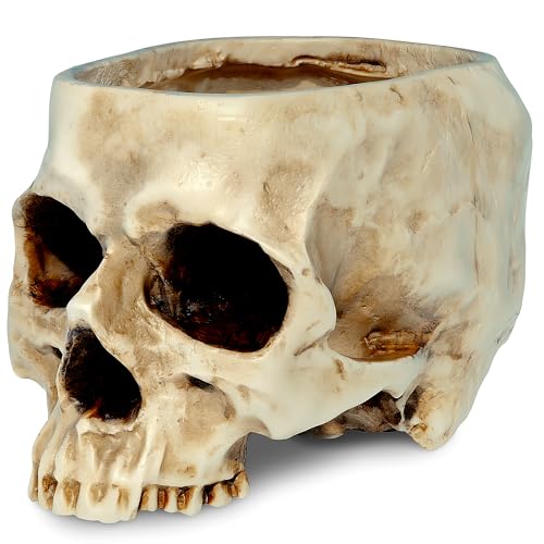 READAEER Skull Bowl Resin Skull Shaped Planter Flower Pot Candy Bowl for Home Office Indoor Desk Decorations - White